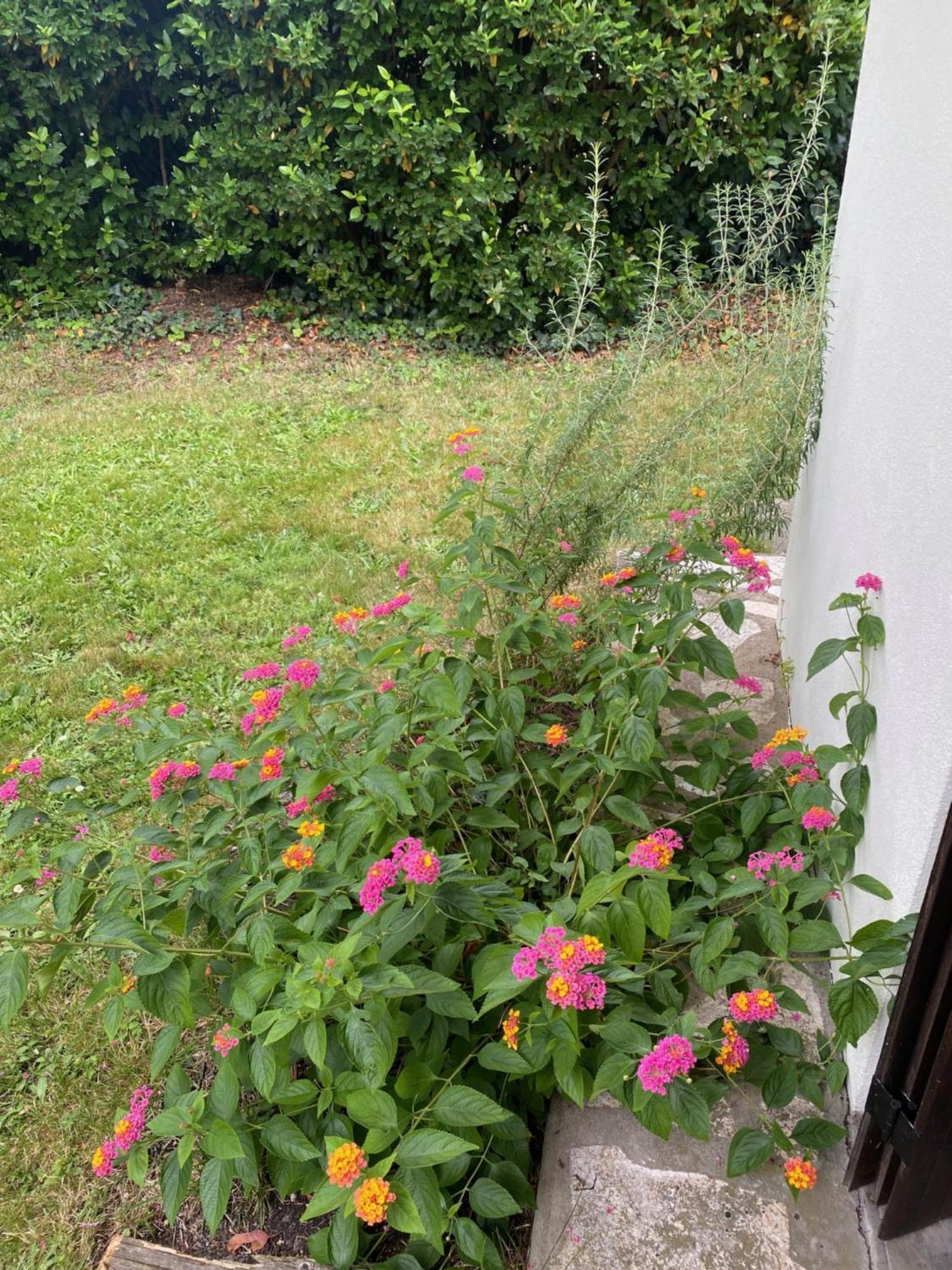 Appartement Avec Jardin เลอปอร์จ ภายนอก รูปภาพ
